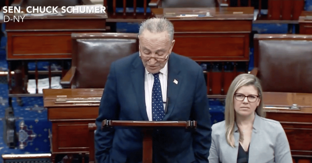 Screengrab from vid on Schumer's twitter account